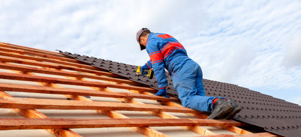 Best Roof Maintenance and Cleaning  in El Monte, CA