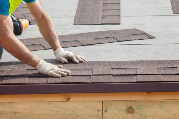 Best Roof Moss and Algae Removal  in El Monte, CA